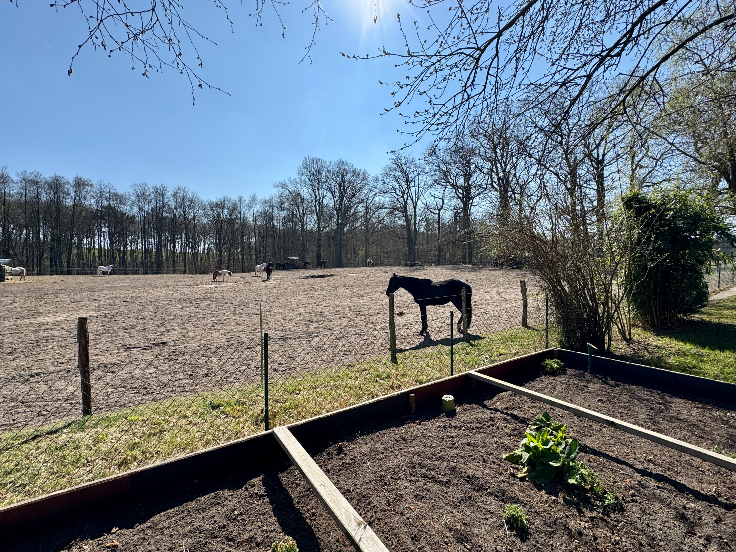 Außenansicht Garten