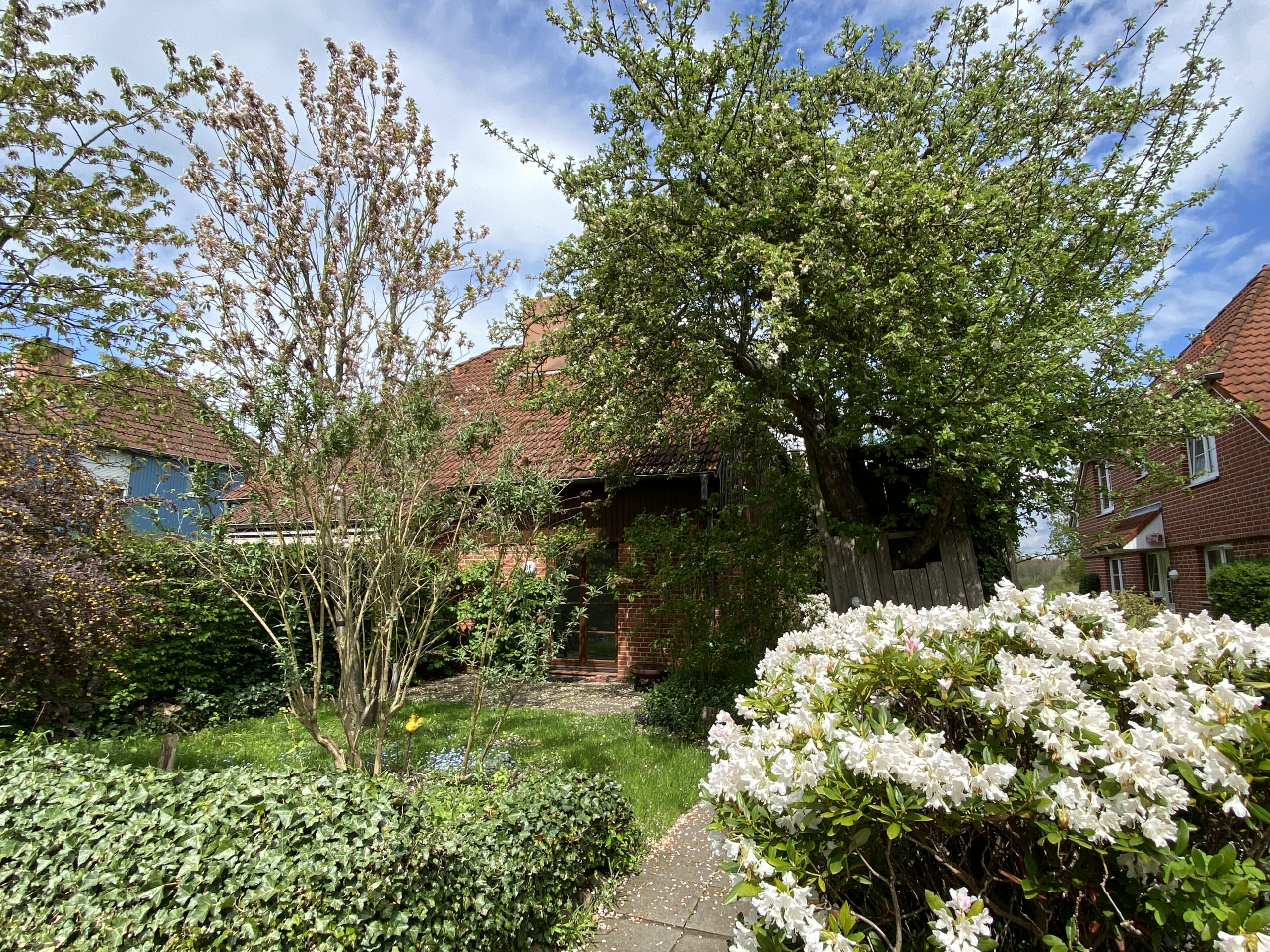 Ansicht Vorgarten