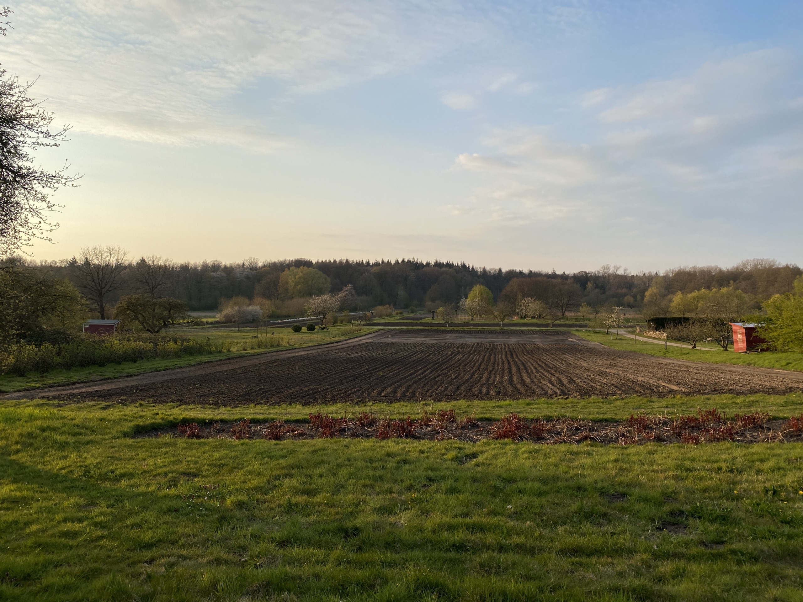 Ansicht Garten