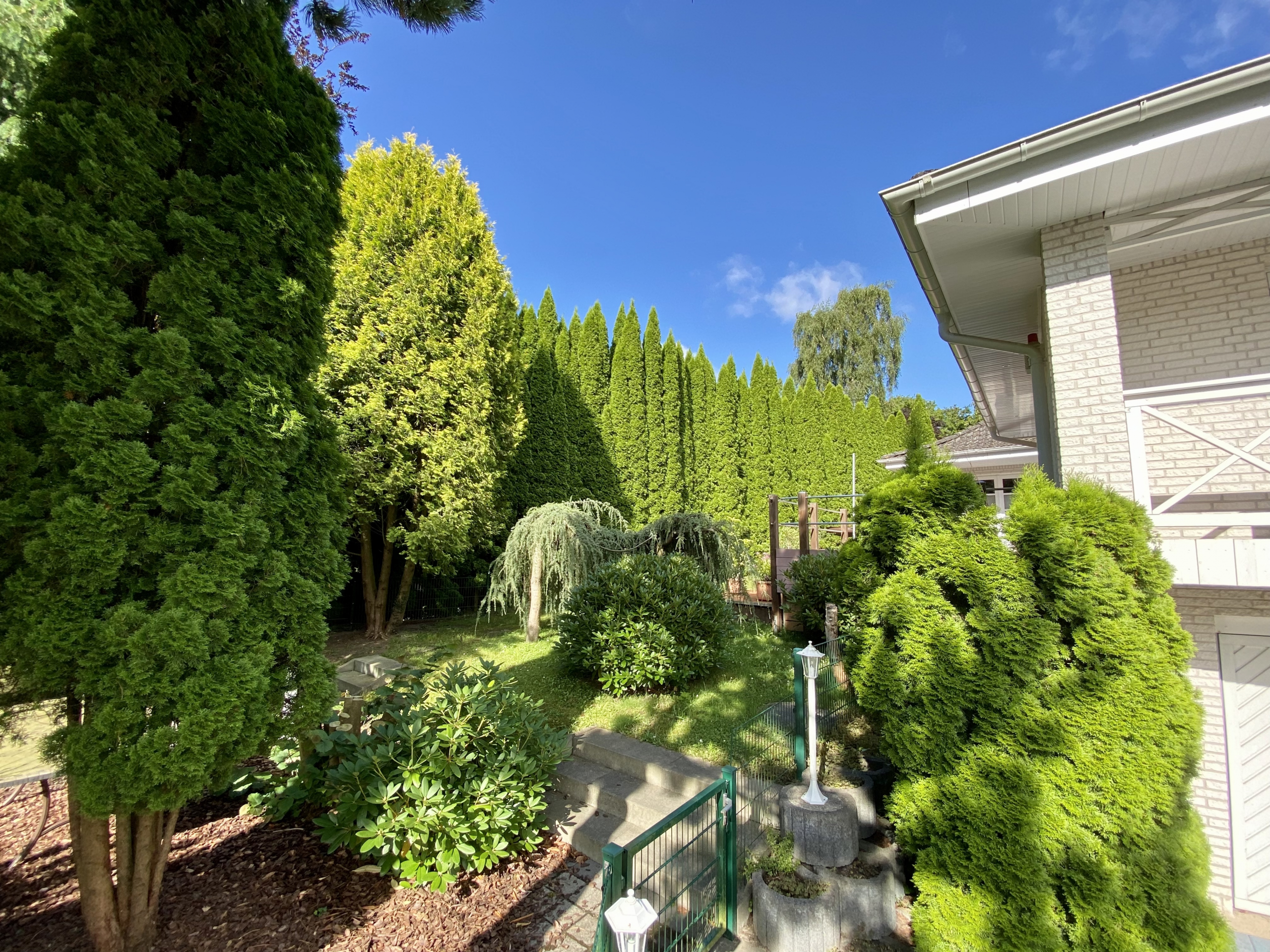 Blick Garten neu